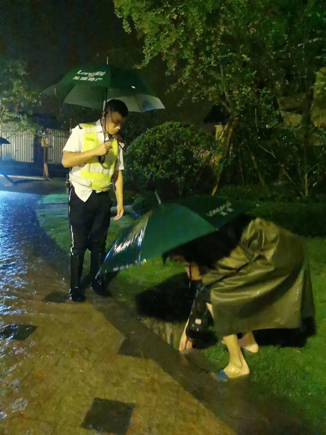 11龙湖