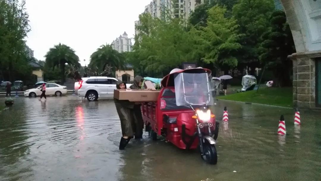 50金碧