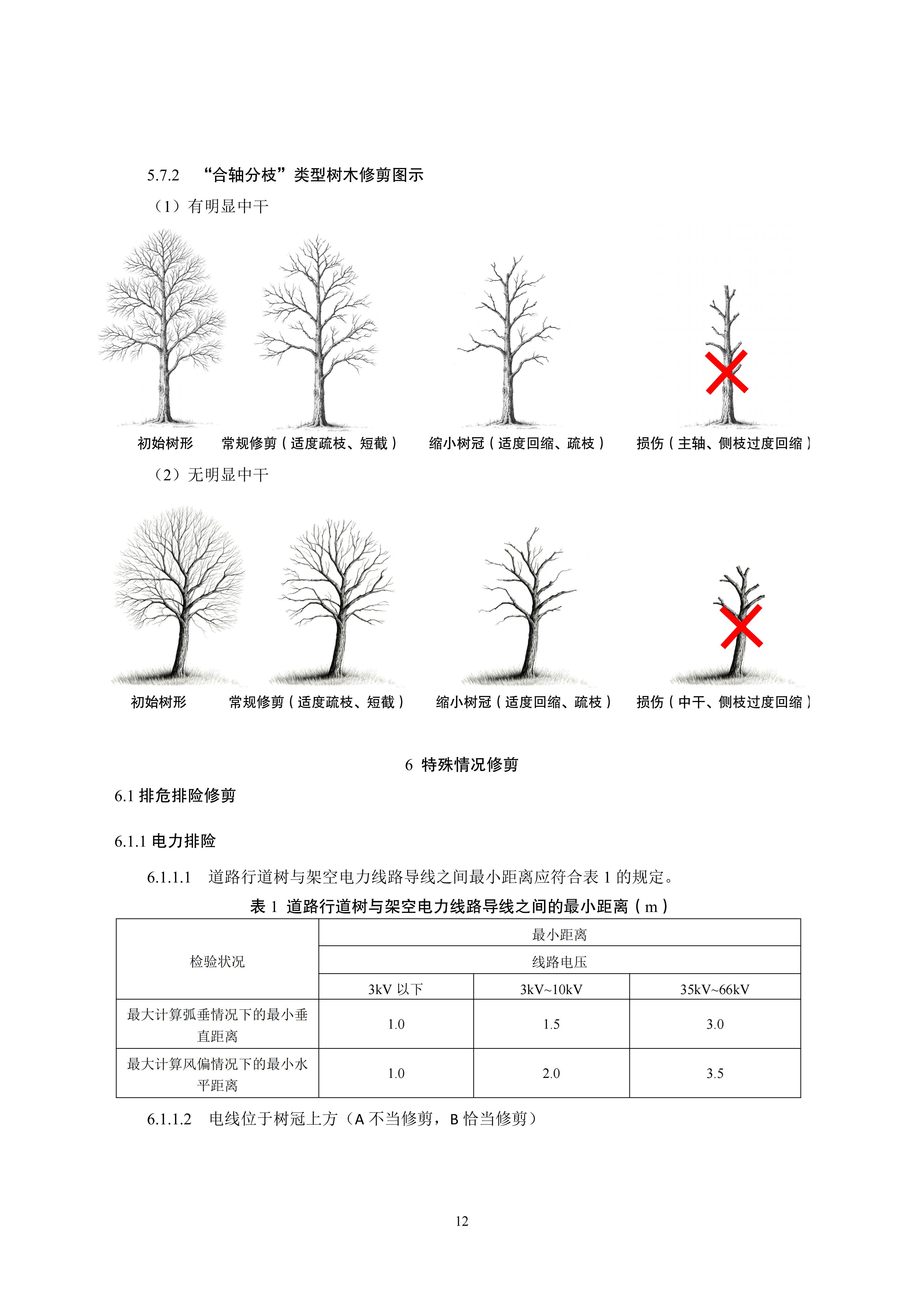 关于印发《成都市绿化乔木修枝技术导则（试行）》的通知（全）_15
