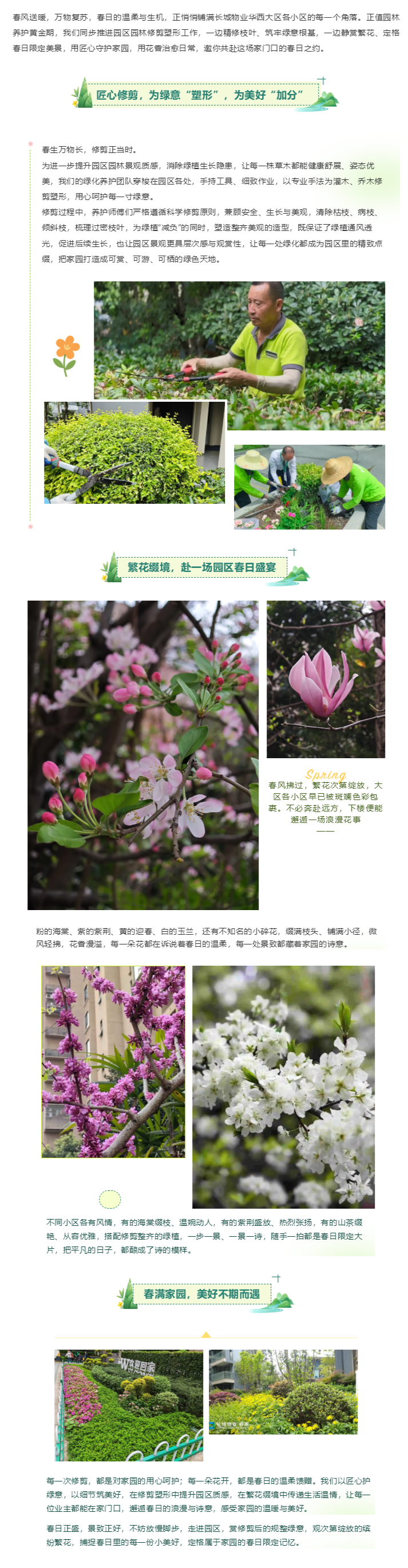 春满园区｜修剪塑形焕新颜，繁花缀境赴美好